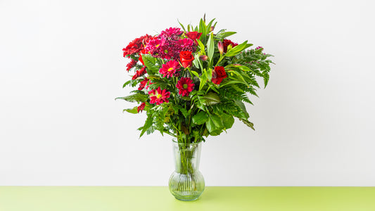 Ástarvöndur deluxe